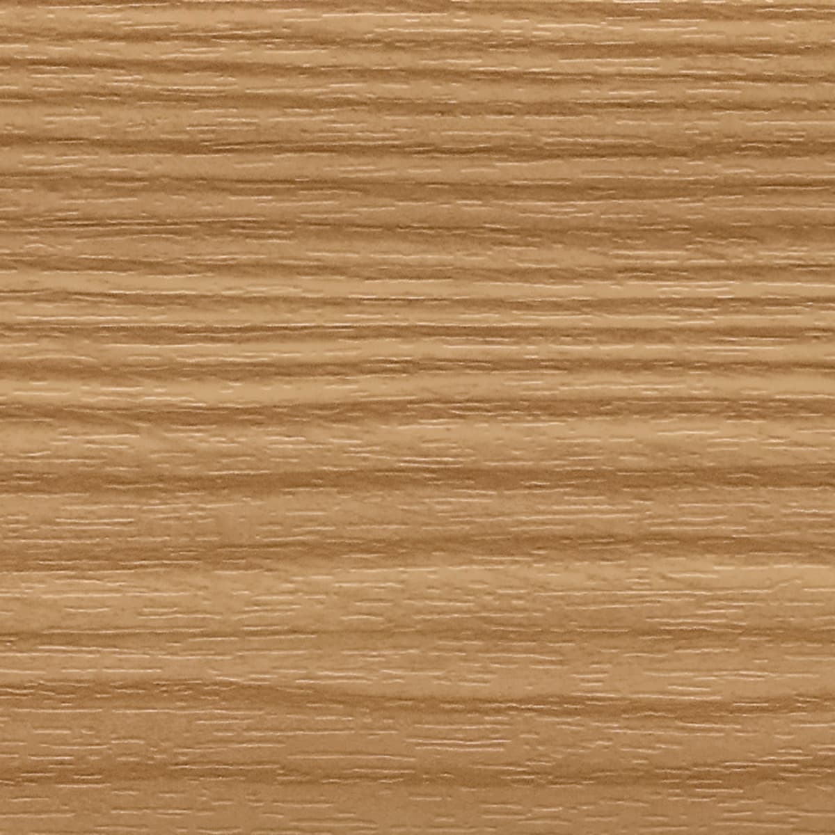 GEA 08 Sosna górska