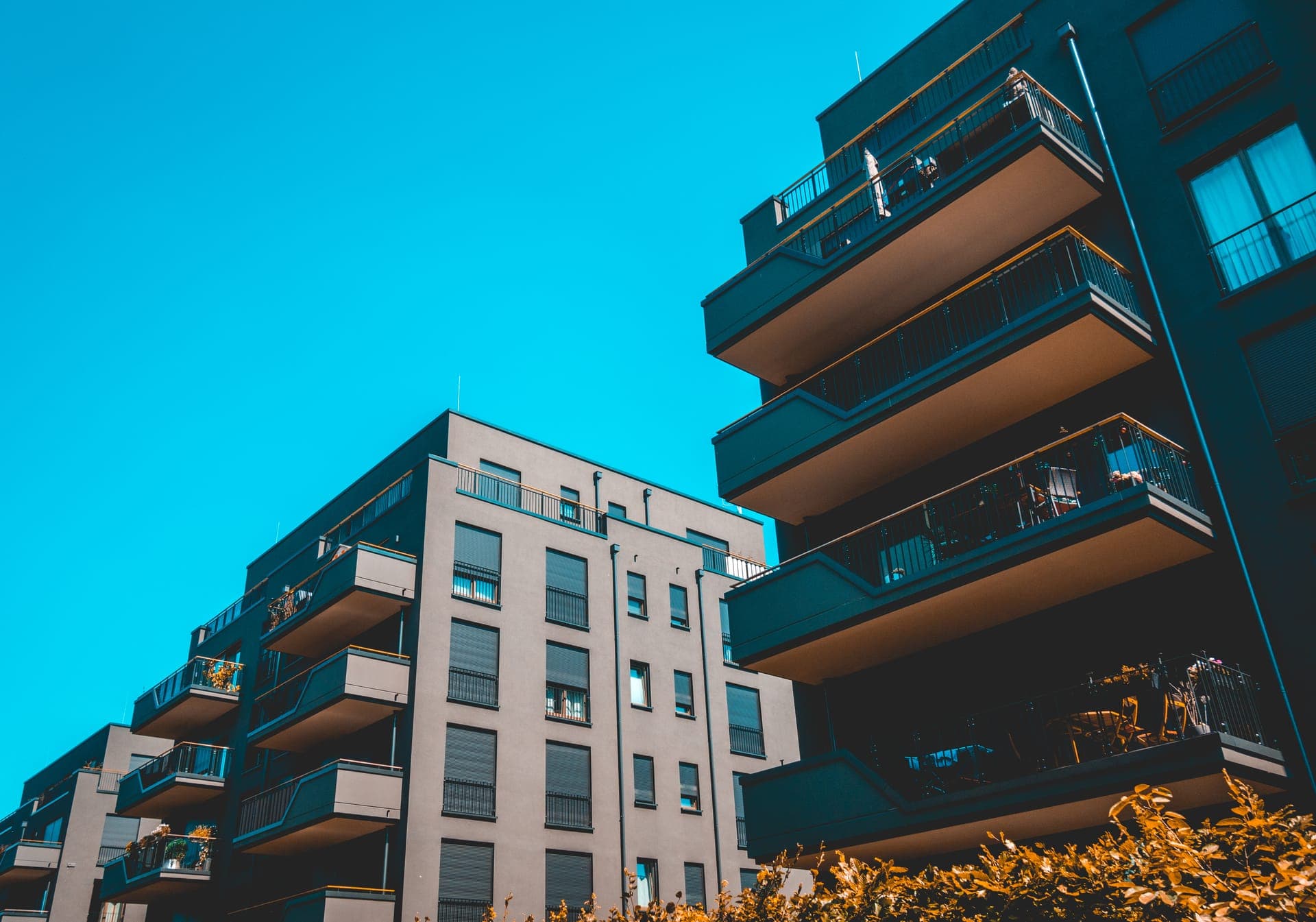 Opinie, które mówią więcej niż 1000 słów